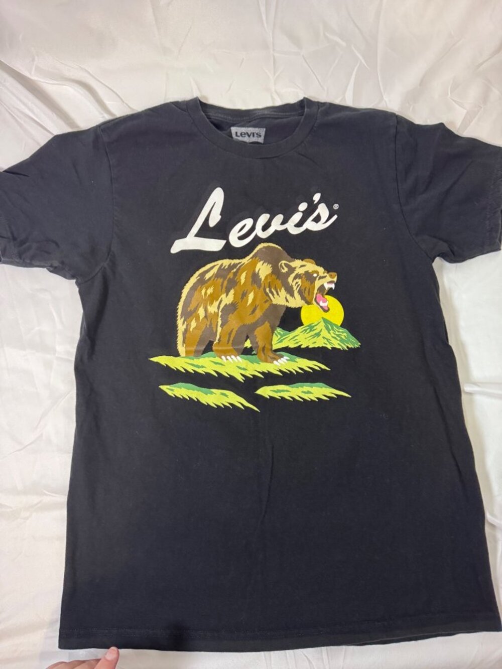 Kid's Levi's T-Shirt, Gray Size M-Growling Grizzly Bear
